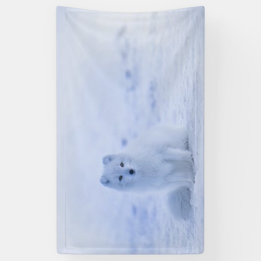 IJsland Arctic Fox Spandoek (Verticaal)