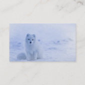 IJsland Arctic Fox Visitekaartje (Achterkant)