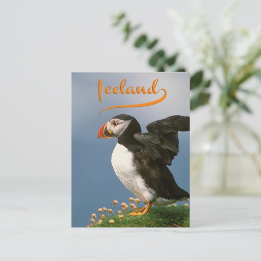 IJsland Briefkaart (Staand voorkant)