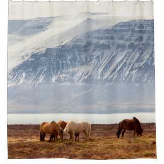 IJSLAND DOUCHEGORDIJN