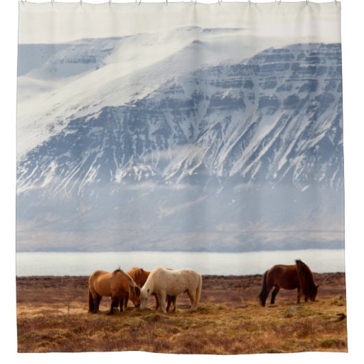 IJSLAND DOUCHEGORDIJN (Voorkant)