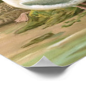 IJsland en Ivory Gull vogelillustratie Poster (Hoek)