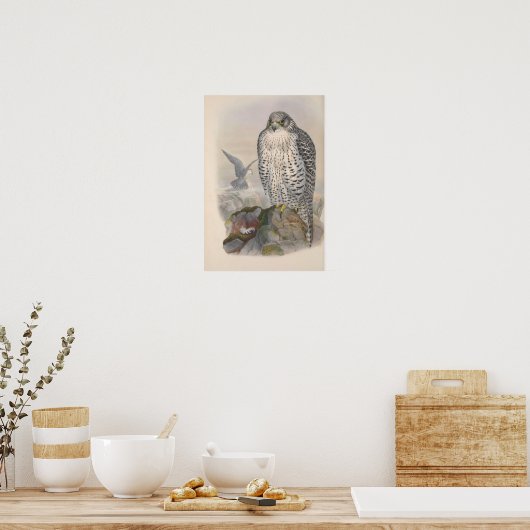 IJsland Falcon Bird Poster (Keuken)