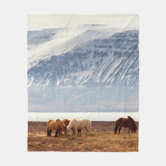 IJSLAND FLEECE DEKEN (Voorkant)