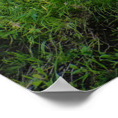 IJsland - Groene Huis Poster (Hoek)