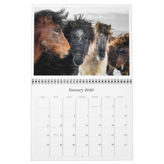 IJsland Kalender (Jan 2026)