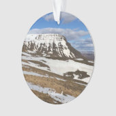 IJsland - keramische versiering Ornament (voorkant)