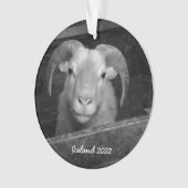 IJsland - kerstversiering Ornament (voorkant)