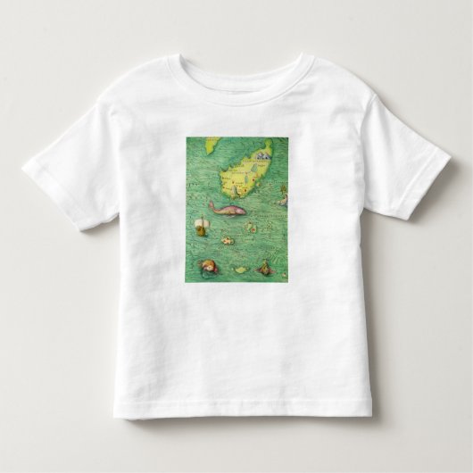 IJsland Kinder Shirts (Voorkant)