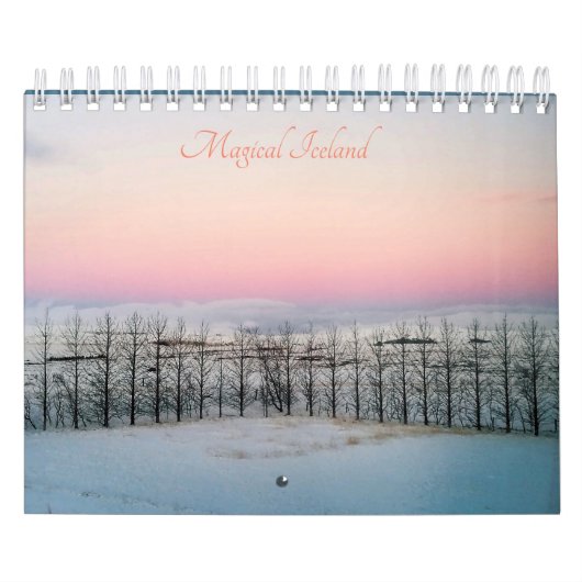 IJsland landschapskalender 2020 Kalender (Hoes)