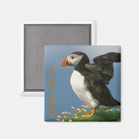 IJsland Magneet (Voorkant / Achterkant)