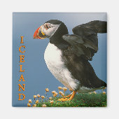 IJsland Magneet (Voorkant)