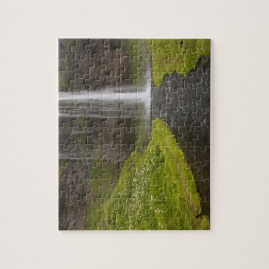 IJsland. Mensen op pad achter Seljalandsfoss Legpuzzel (Verticaal)