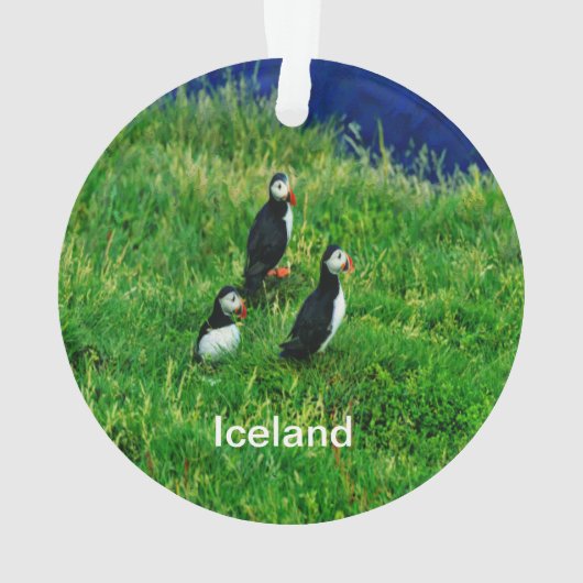 IJsland - Ornament Puffins (achterkant)