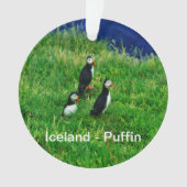 IJsland - Ornament Puffins (voorkant)