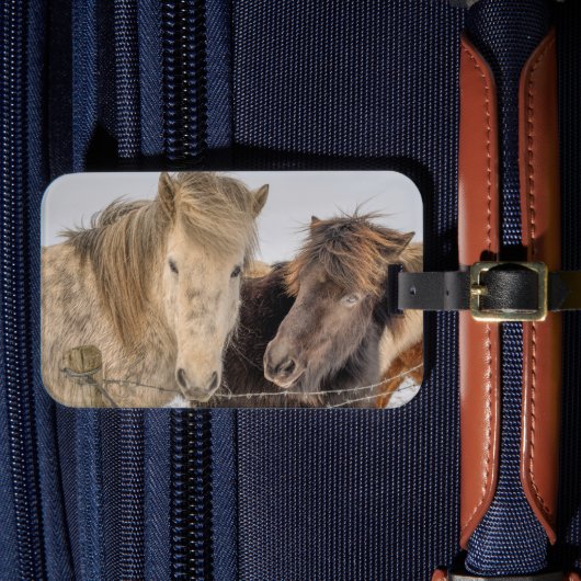 IJsland Paarden Bagagelabel (Voorkant Insitu 4)