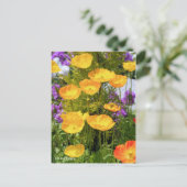 IJsland papaver [Briefkaart] Briefkaart (Staand voorkant)