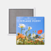 IJsland Poppy Magneet (Voorkant / Achterkant)