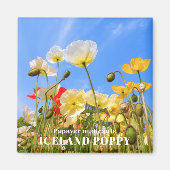 IJsland Poppy Magneet (Voorkant)