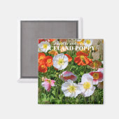 IJsland Poppy Magneet (Voorkant / Achterkant)