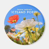 IJsland Poppy Magneet (Voorkant)