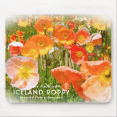 IJsland Poppy Muismat (Voorkant)