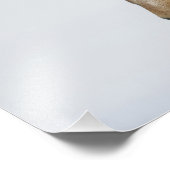 IJsland. Portret van een IJslands paard. Foto Afdruk (Hoek)