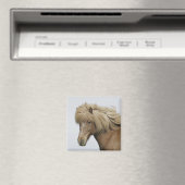 IJsland. Portret van een IJslands paard. Magneet (Insitu (Vaatwasser))