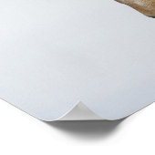 IJsland. Portret van een IJslands paard. Poster (Hoek)