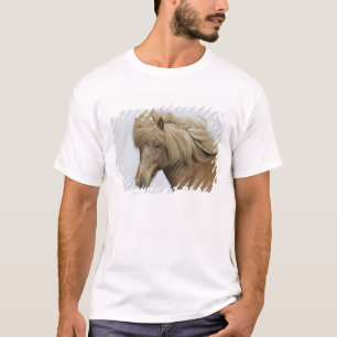 IJsland. Portret van een IJslandse paard. T-shirt