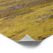 IJsland Poster (Hoek)