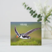 IJsland Puffin Briefkaart (Staand voorkant)