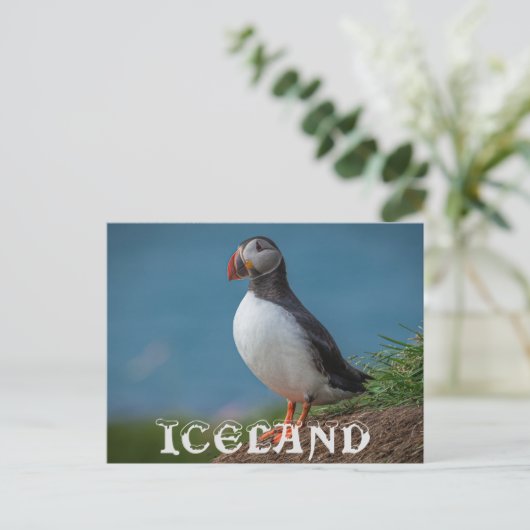 IJSLAND PUFFIN BRIEFKAART (Staand voorkant)