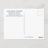 IJSLAND PUFFIN BRIEFKAART (Achterkant)