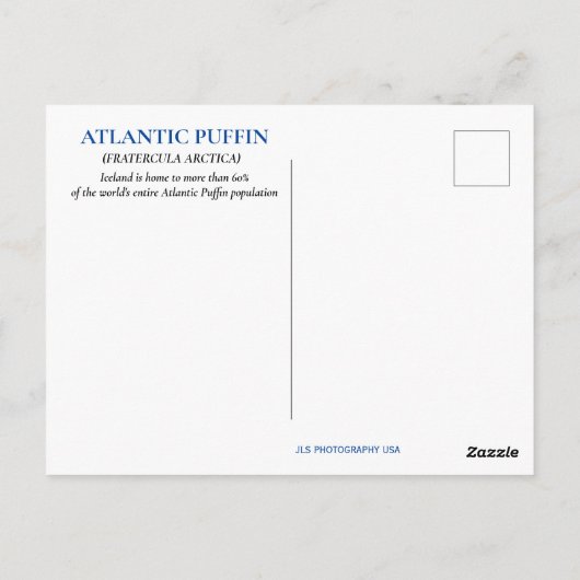 IJSLAND PUFFIN BRIEFKAART (Achterkant)