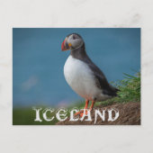 IJSLAND PUFFIN BRIEFKAART (Voorkant)