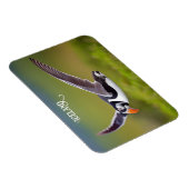 IJsland Puffin Magneet (Rechterzijde)