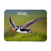 IJsland Puffin Magneet (Horizontaal)