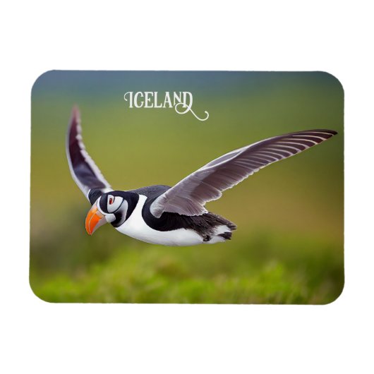 IJsland Puffin Magneet (Horizontaal)