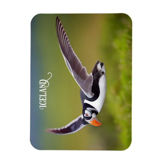 IJsland Puffin Magneet (Verticaal)