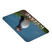IJSLAND PUFFIN MAGNET MAGNEET (Rechterzijde)