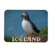 IJSLAND PUFFIN MAGNET MAGNEET (Horizontaal)