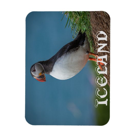 IJSLAND PUFFIN MAGNET MAGNEET (Verticaal)