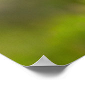 IJsland Puffin Poster (Hoek)