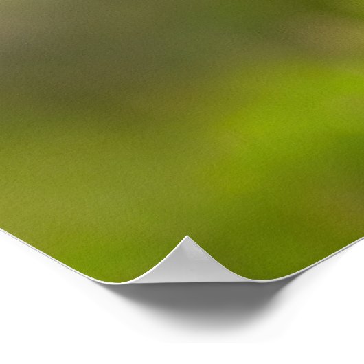 IJsland Puffin Poster (Hoek)