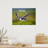 IJsland Puffin Poster (Keuken)