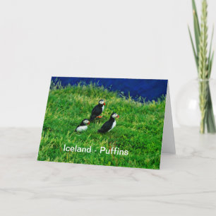 IJsland - Puffins Kaart