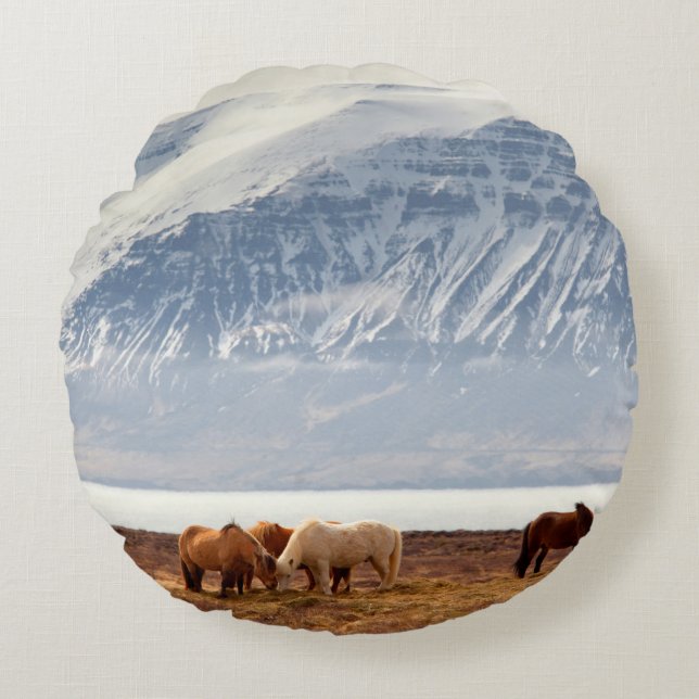 IJSLAND ROND KUSSEN (Voorkant)