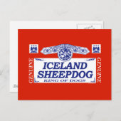 IJsland Sheepdog Briefkaart (Voorkant / Achterkant)