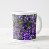 IJsland. Vik i Myrdal. Lupineveld Grote Koffiekop (Voorkant rechts)